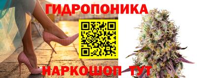 стаф Апшеронск