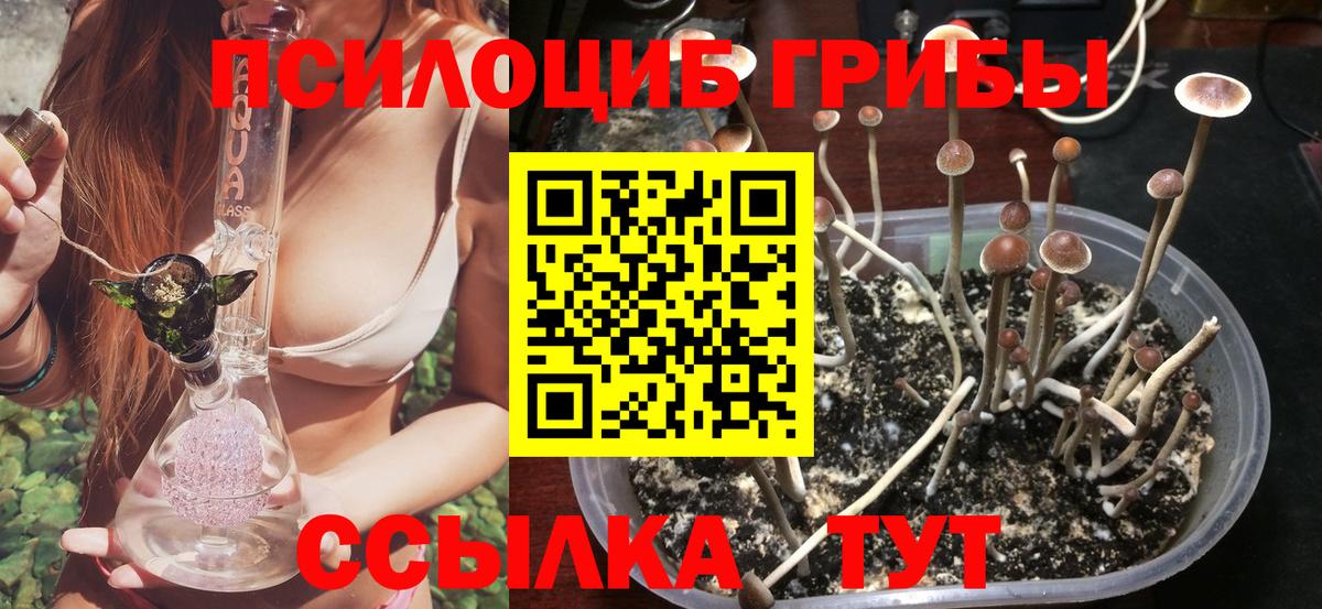 что такое наркотик  Вход с VPN  Апшеронск  Псилоцибиновые грибы Cubensis 