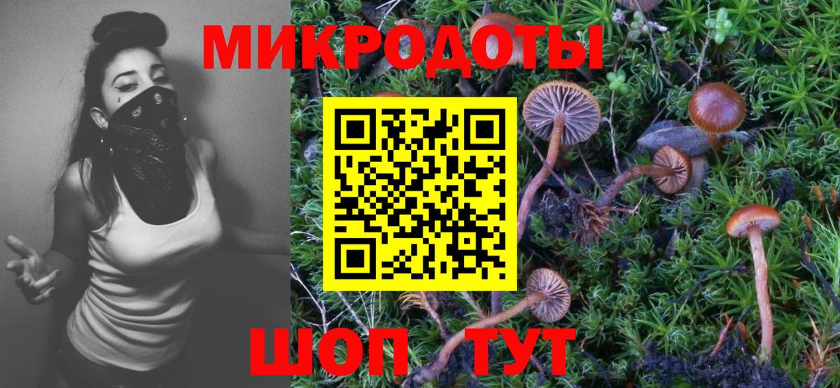 Псилоцибиновые грибы прущие грибы Апшеронск